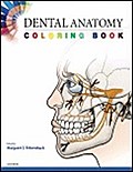 Dental Anatomy Coloring Book