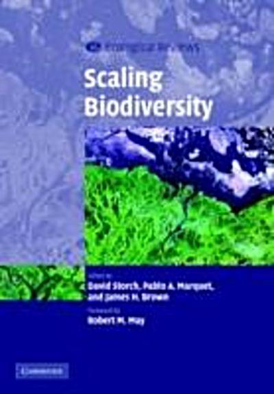 Scaling Biodiversity