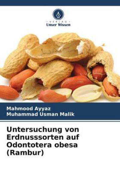 Untersuchung von Erdnusssorten auf Odontotera obesa (Rambur)