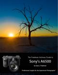 The Friedman Archives Guide to Sony’s A6500 - Professional Insights for the Experienced Photographer