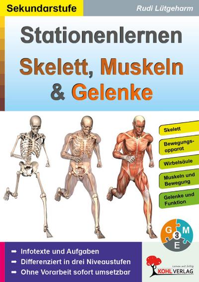 Stationenlernen Skelette, Muskeln & Gelenke