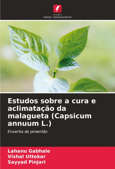 Estudos sobre a cura e aclimatação da malagueta (Capsicum annuum L.)