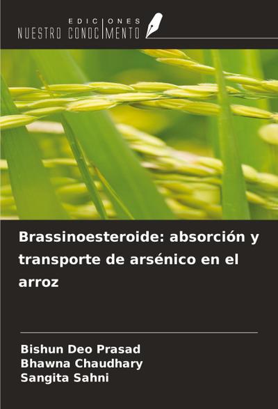 Brassinoesteroide: absorción y transporte de arsénico en el arroz