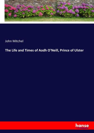 The Life and Times of Aodh O’Neill, Prince of Ulster