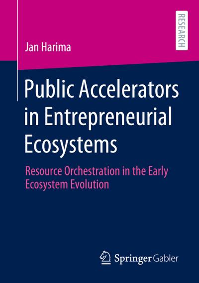 Public Accelerators in Entrepreneurial Ecosystems