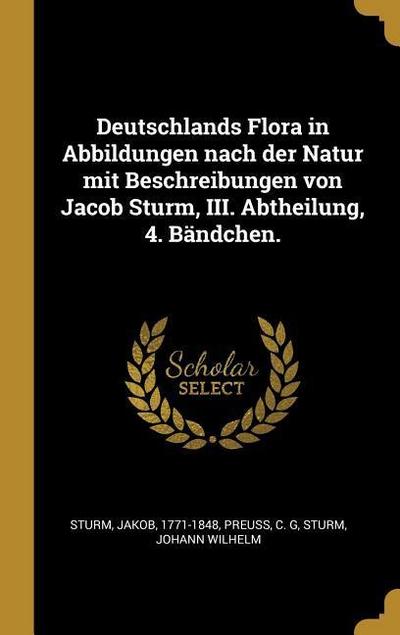 Deutschlands Flora in Abbildungen Nach Der Natur Mit Beschreibungen Von Jacob Sturm, III. Abtheilung, 4. Bändchen.