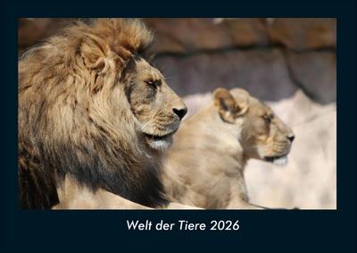 Welt der Tiere 2026 Fotokalender DIN A4