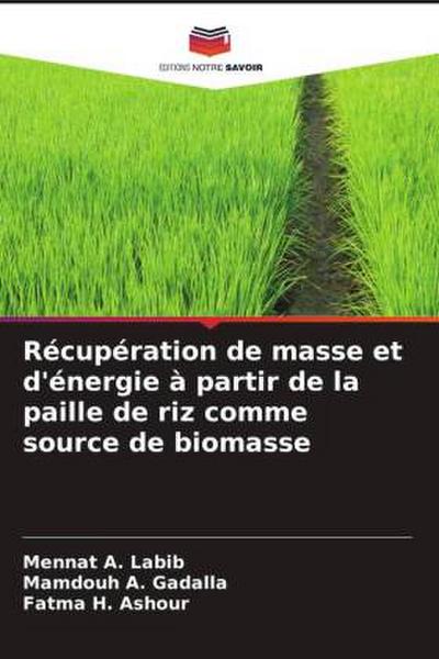 Récupération de masse et d’énergie à partir de la paille de riz comme source de biomasse