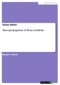 Micropropagation of Rosa centifolia