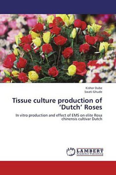 Tissue culture production of  Dutch  Roses