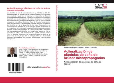 Aclimatización de plántulas de caña de azúcar micropropagadas