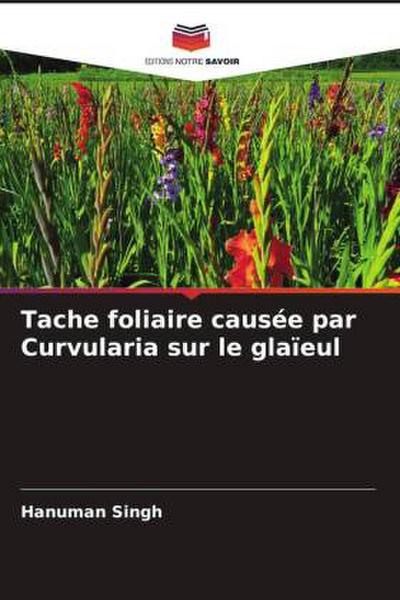 Tache foliaire causée par Curvularia sur le glaïeul