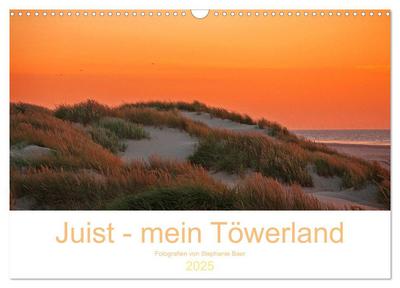 Juist - mein Töwerland (Wandkalender 2025 DIN A3 quer), CALVENDO Monatskalender