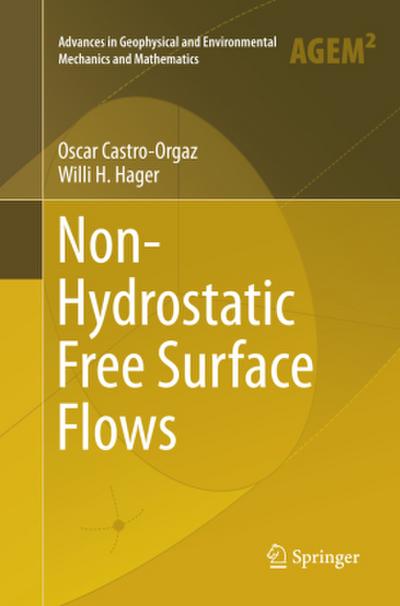 Non-Hydrostatic Free Surface Flows