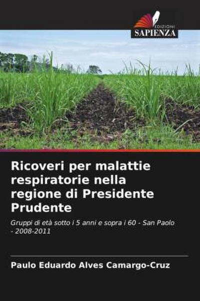 Ricoveri per malattie respiratorie nella regione di Presidente Prudente