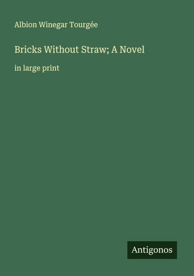 Bricks Without Straw; A Novel