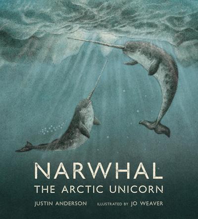 Narwhal