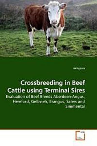 Crossbreeding in Beef Cattle using Terminal Sires