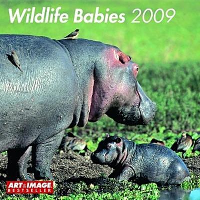 New York, Small Format Edition