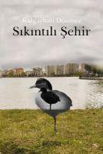 Sikintili Sehir