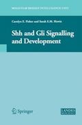 Shh and Gli Signalling in Development