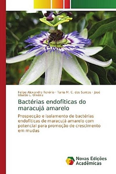 Bactérias endofíticas do maracujá amarelo