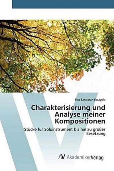 Charakterisierung und Analyse meiner Kompositionen