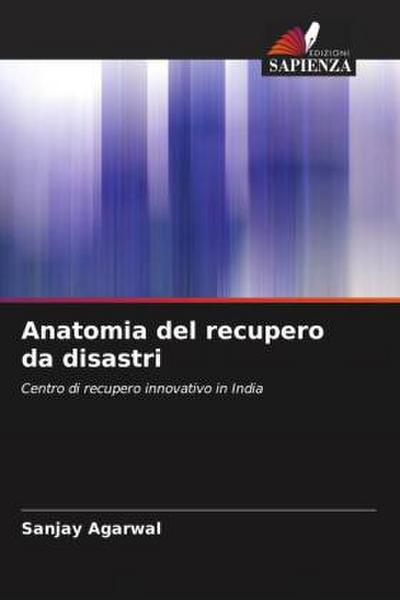 Anatomia del recupero da disastri