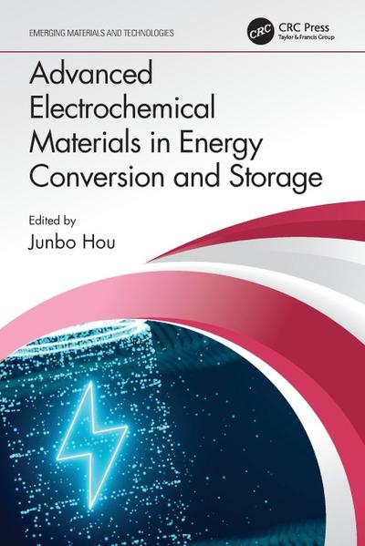 Advanced Electrochemical Materials in Energy Conversion and Storage