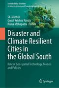 Disaster and Climate Resilient Cities in the Global South