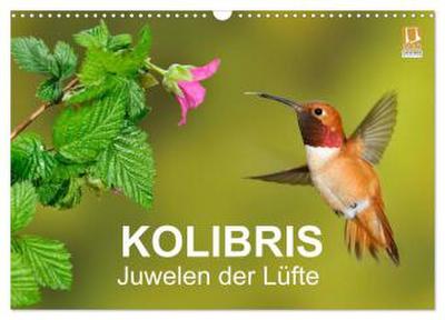 Kolibris - Juwelen der Lüfte (Wandkalender 2026 DIN A3 quer), CALVENDO Monatskalender