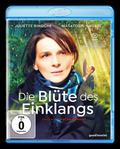Die Blüte des Einklangs