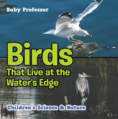 Birds That Live at the Water’s Edge | Children’s Science & Nature