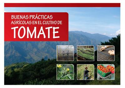 Buenas prácticas agrícolas en el cultivo de tomate
