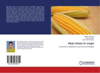 Heat stress in crops