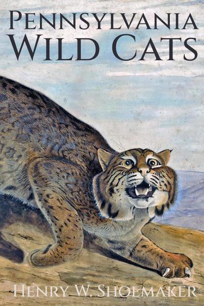 Pennsylvania Wild Cats