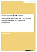 Numerische Bewertung von Optionen mit Hilfe der Methode der Endlichen Differenzen