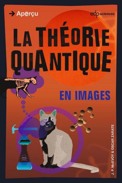 La théorie quantique en images