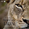 In Search of the African Lion