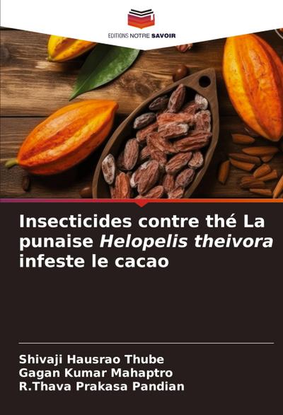 Insecticides contre thé La punaise Helopelis theivora infeste le cacao