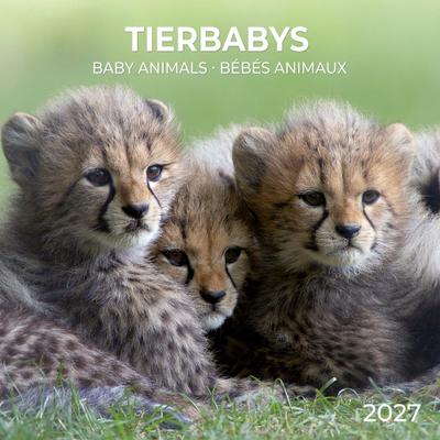 Tierbabys / Baby Animals  2027