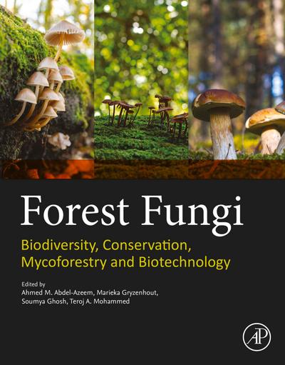 Forest Fungi