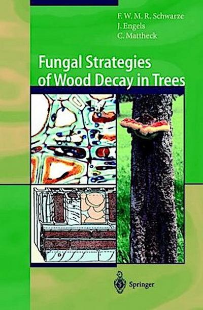 Fungal Strategies of Wood Decay in Trees
