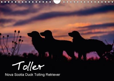 Toller - Nova Scotia Duck Tolling Retriever (Wandkalender 2018 DIN A4 quer) Dieser erfolgreiche Kalender wurde dieses Jahr mit gleichen Bildern und aktualisiertem Kalendarium wiederveröffentlicht.
