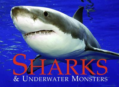 Sharks & Underwater Monsters