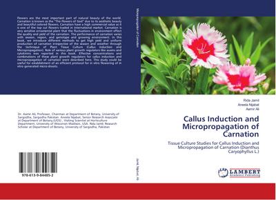 Callus Induction and Micropropagation of Carnation