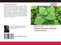 Coleus aromaticus Benth