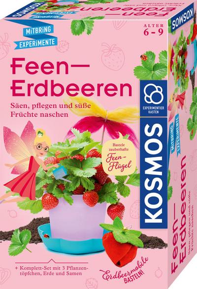 Feen-Erdbeeren (Experimentierkasten)