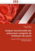 Analyse fonctionnelle des précurseurs sanguins de l’embryon de souris