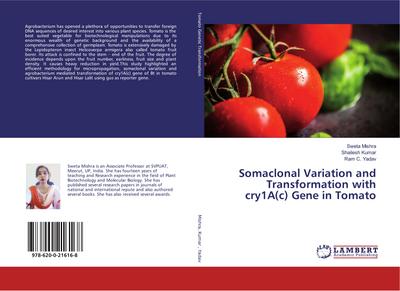 Somaclonal Variation and Transformation with cry1A(c) Gene in Tomato